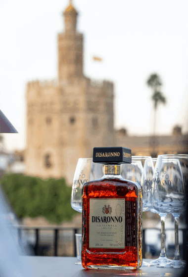 https://storage.tally.so/ec2133b1-4ba7-4437-9196-a5fbdc3d95ac/Disaronno.gif