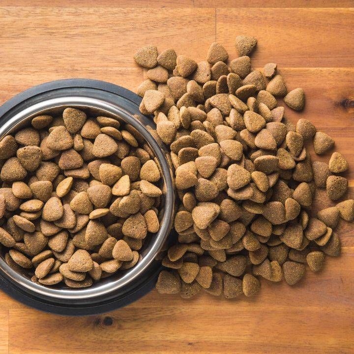 https://storage.tally.so/f2876d94-2bb8-4557-bc9f-079176928eb1/Kibble.jpg