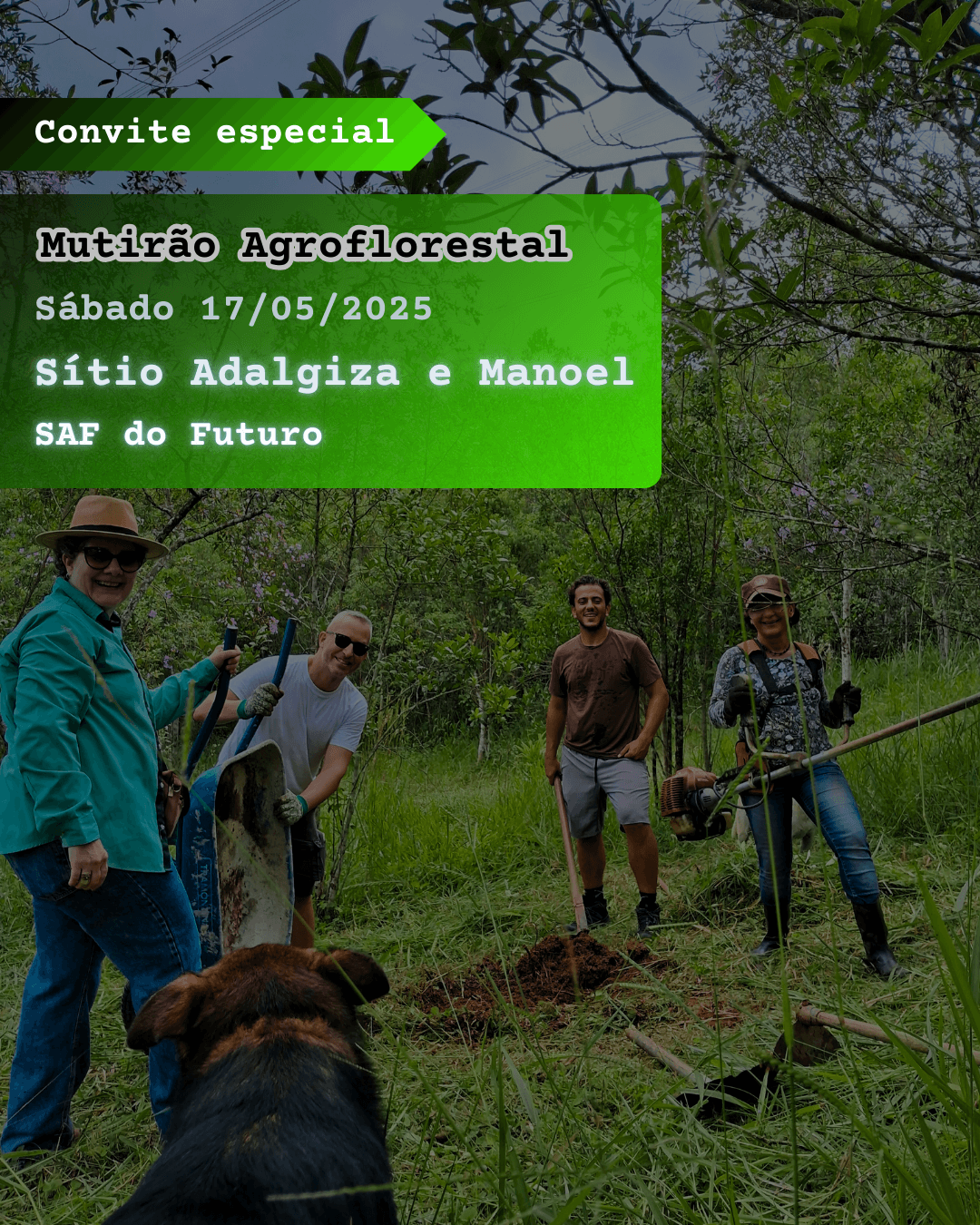 https://storage.tally.so/f9772662-9566-475f-b2ba-e72b3a127039/Convite-Mutirao-Agroflorestal-Maio-2025.png