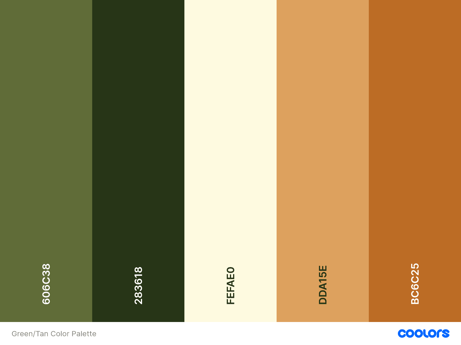 https://storage.tally.so/fa154ba8-14df-44ba-ae64-90ce2d1a11f3/Palette-1.png