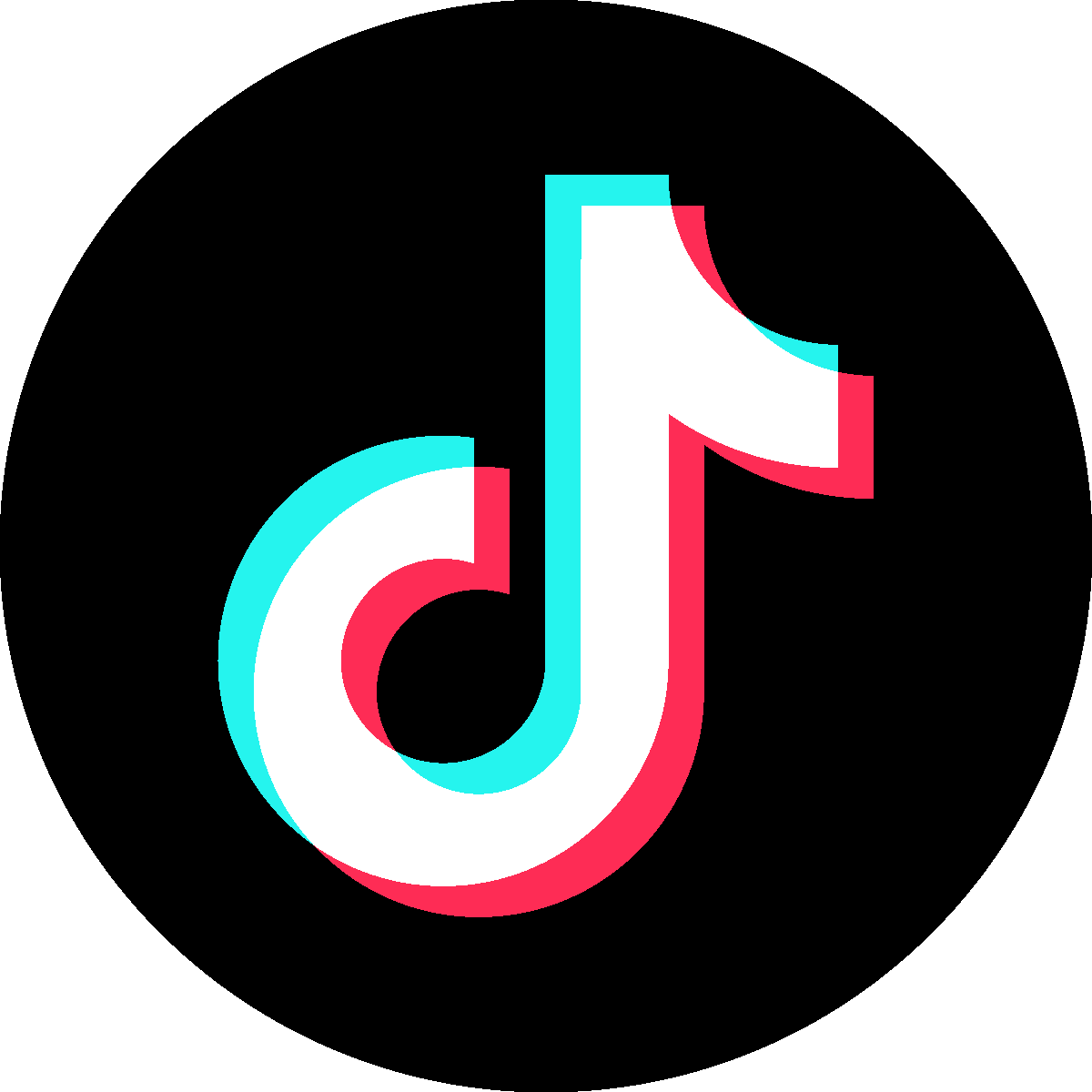 https://storage.tally.so/fcf995ae-dae7-4276-9c60-53d17e6893c2/TikTok_Icon_Black_Circle.png