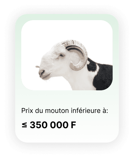 https://storage.tally.so/fd129cae-2c31-4700-9ff8-fb004a330ae0/Offre-4.png