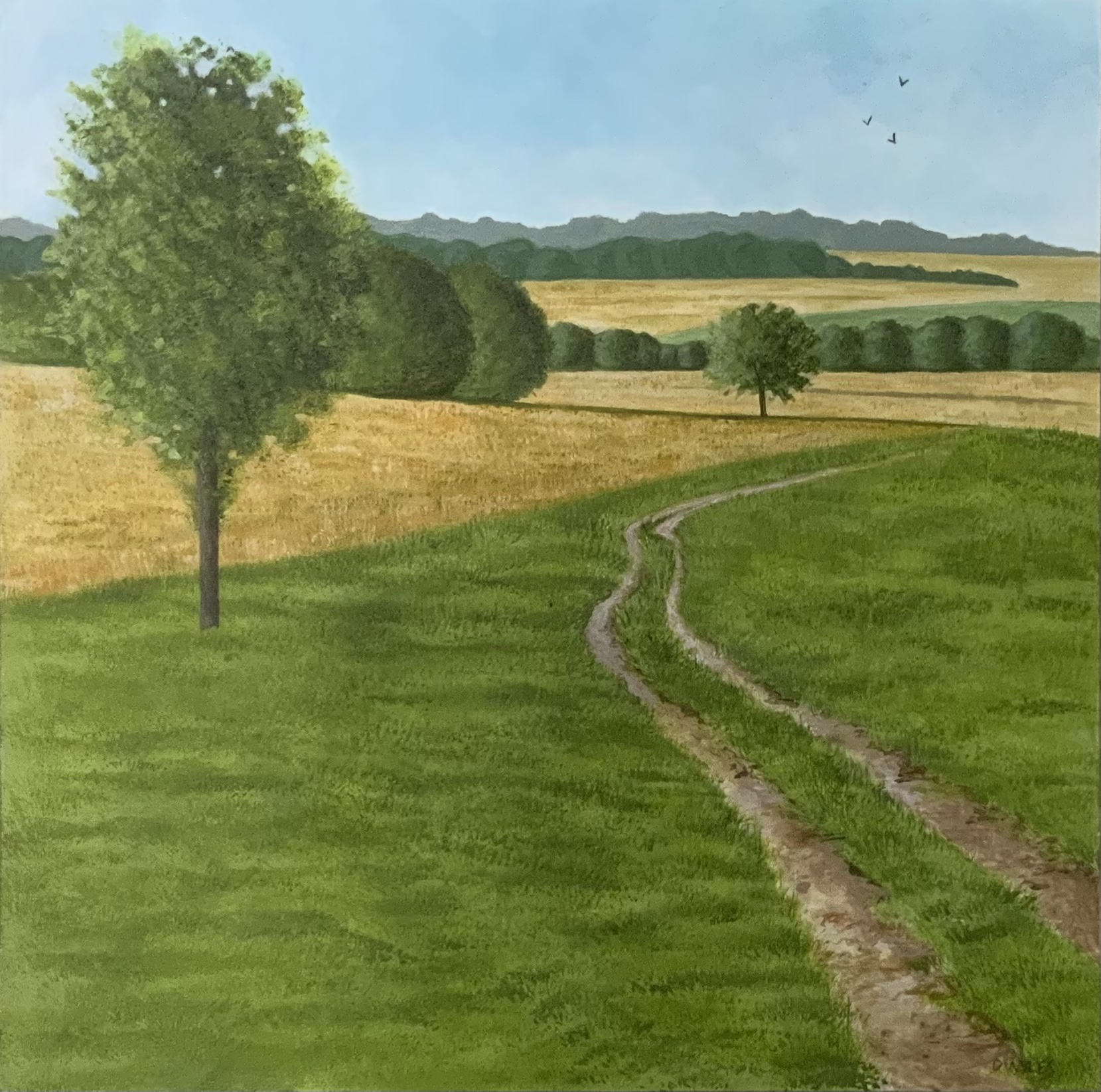 My Corner Of The Field