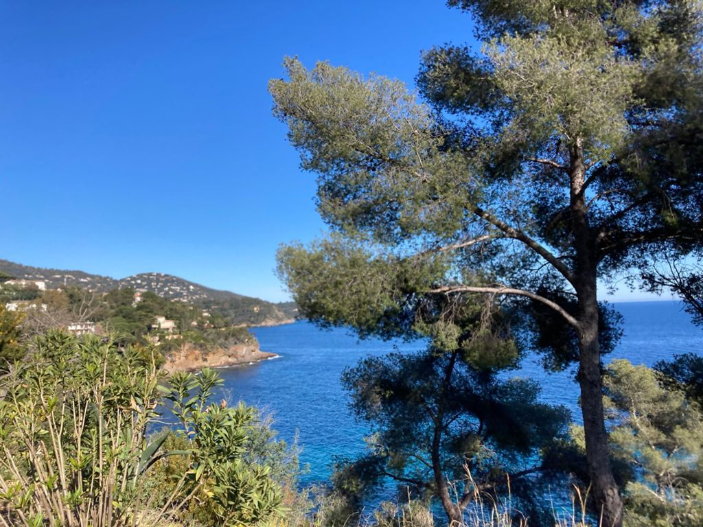 Provence - Le Ciel Bleu