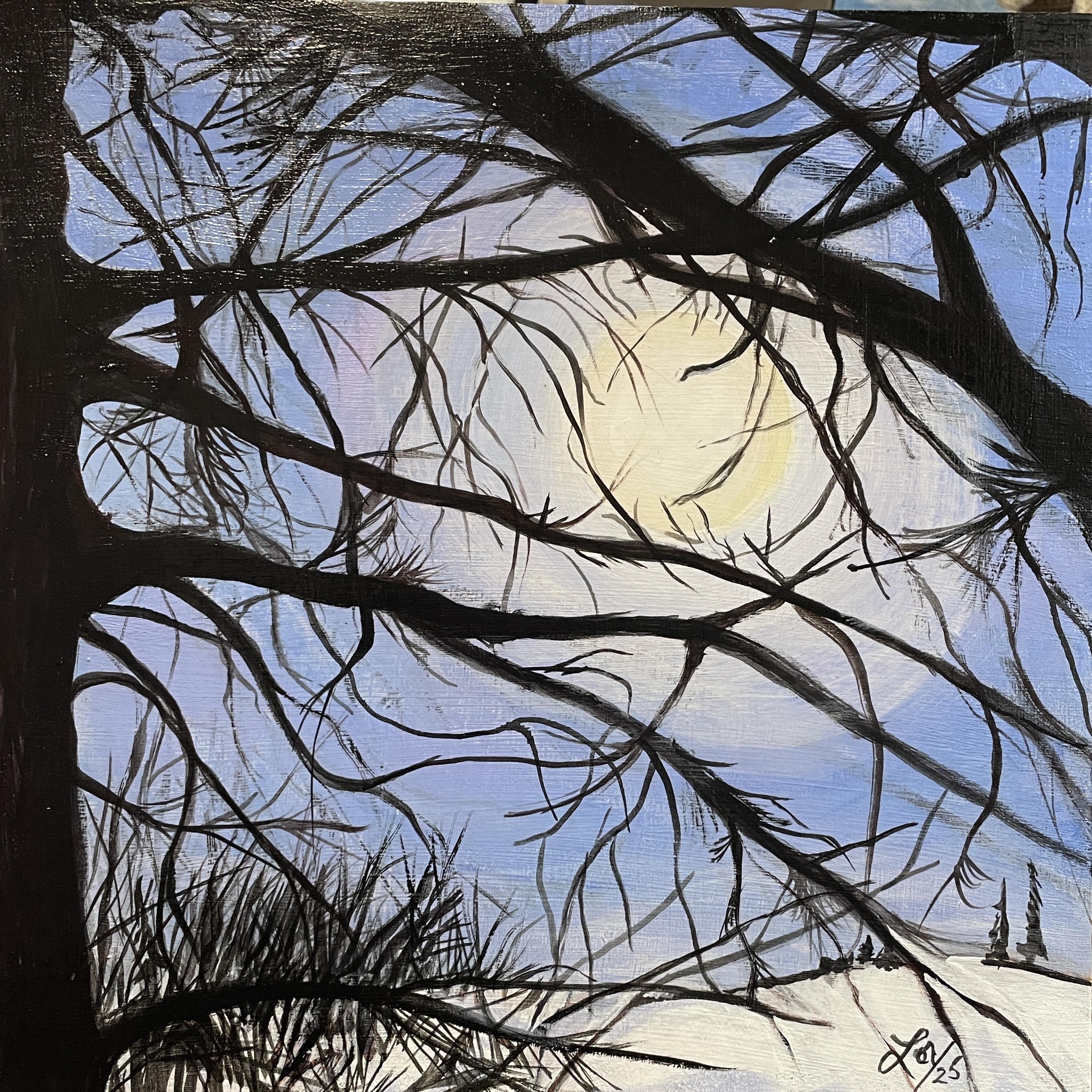 Once Upon a Moonlit Night