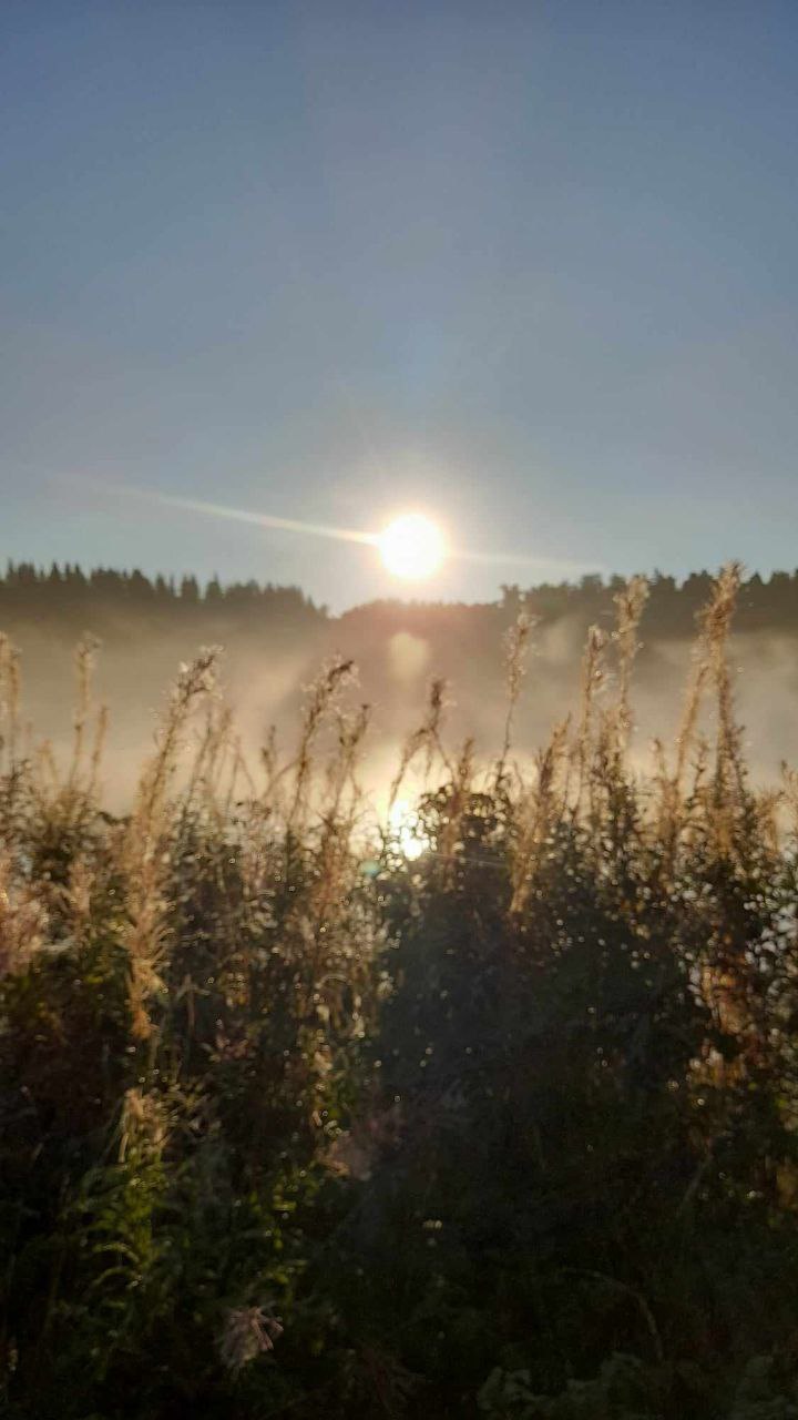 Thérapie Énergétique Connexion Divine